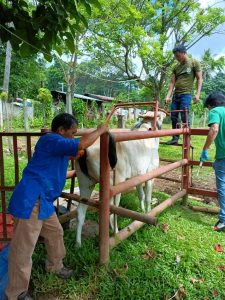 Veterinary Integrated Barangay Extension Services